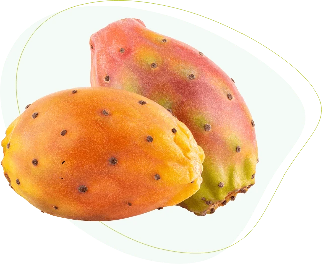 Fico d'India, ingrediente di Cacti-Nea™