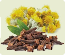 Illustrazione dell'ingrediente Hepure™, una miscela per il supporto epatico in Lipid Control Plus