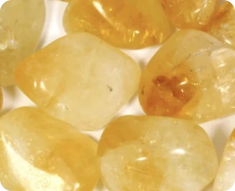 Capsule di NuviaLab Keto con un'illustrazione di Citrin