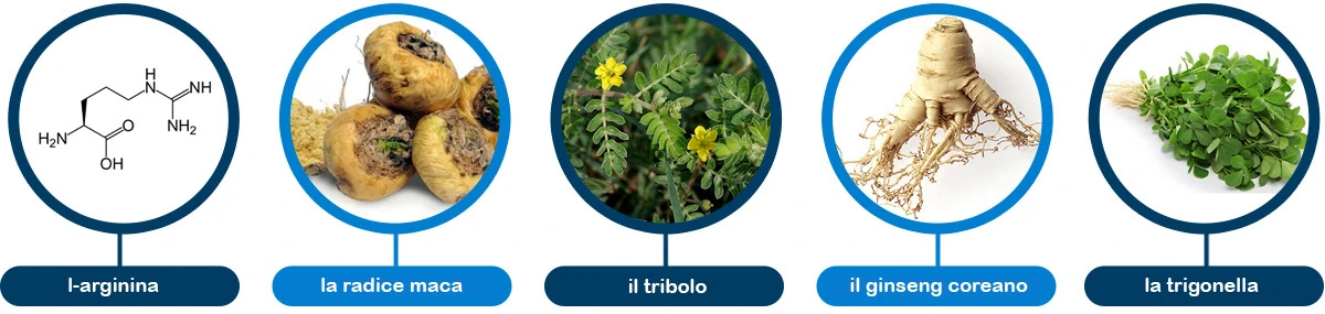 Rappresentazione degli ingredienti chiave di Eron Plus