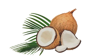 Cocco, ingrediente che indica il sapore del prodotto