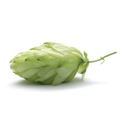 Immagine dell'ingrediente Rhodiolife, estratto di rodiola.