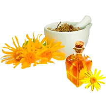 Confezione di estratto di Arnica Montana, uno degli ingredienti di Hondro Sol